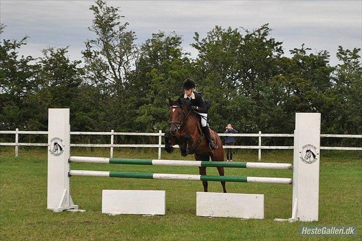 Anden særlig race Baloü B-pony<3 - Balou i Uggerhalne :D billede 7