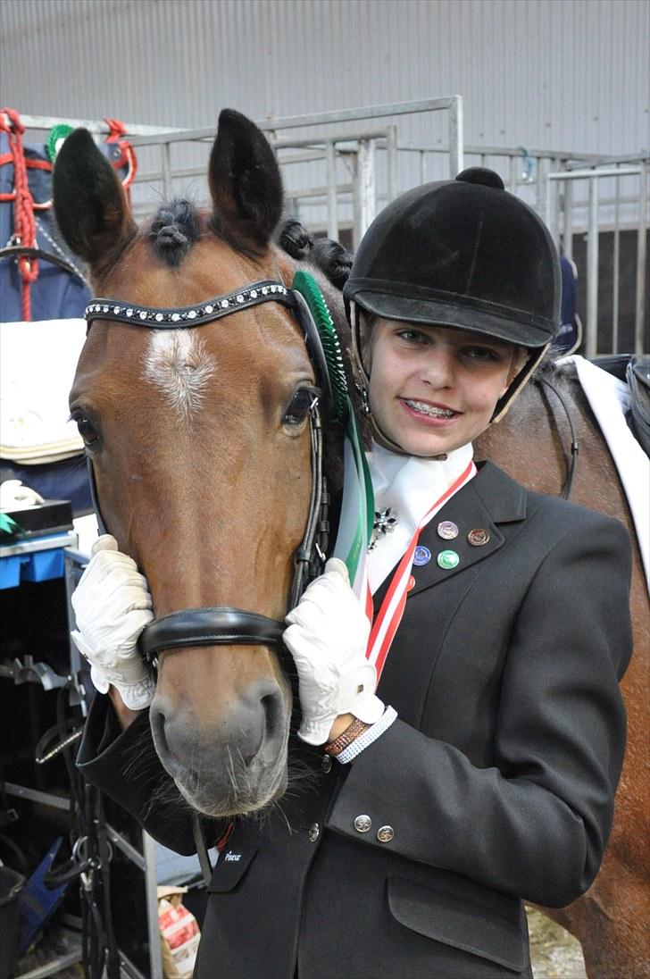 Welsh Partbred (Sec F) Marieton's Sanssousi - 20. Taak fordi du kiggede forbi.. give gerne en bedømmelse og en kommentar.. :D billede 20