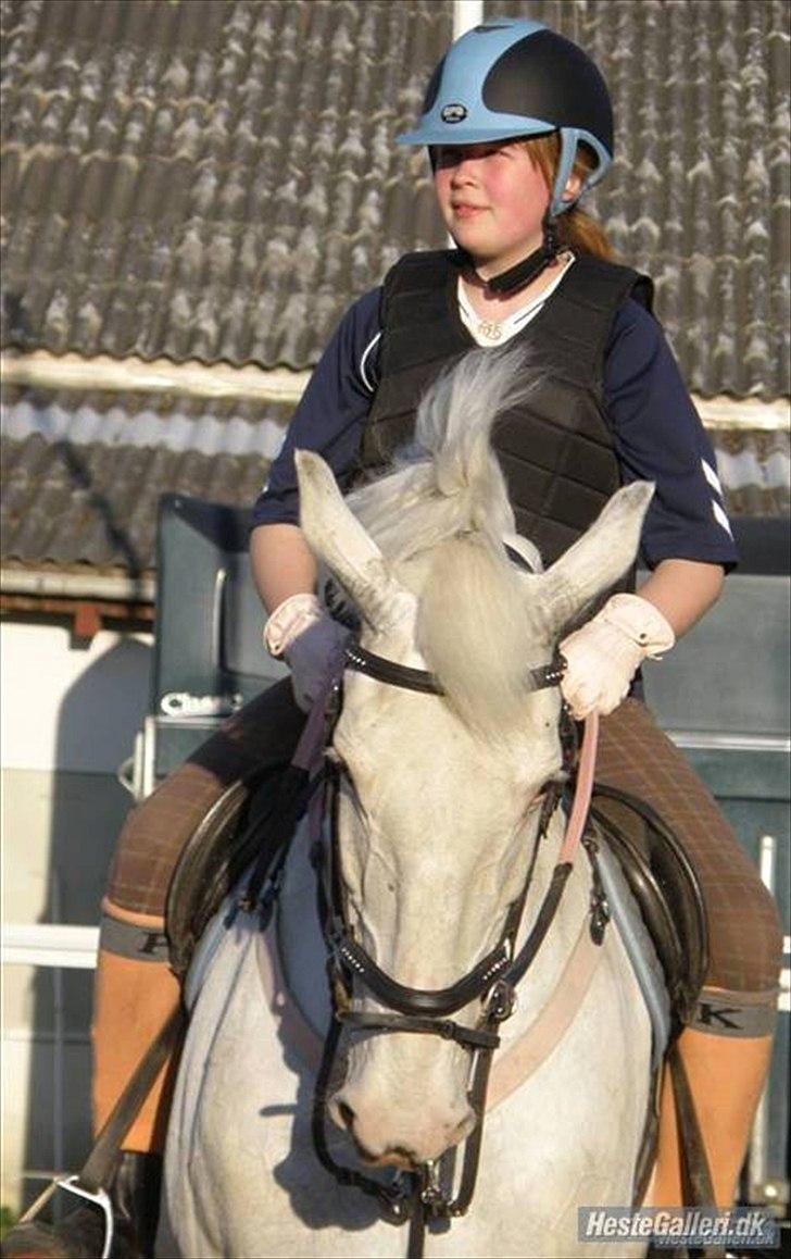 Knabstrupper Coco's J'aime La Vie MIN - Farvel<333 billede 20