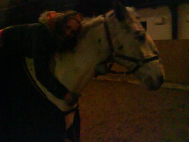 Knabstrupper Diogenes R.I.P :'( - godnat billede?(: billede 9