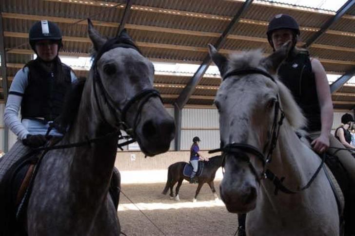 Knabstrupper Diogenes R.I.P :'( - santana og diogenes <3 billede 10