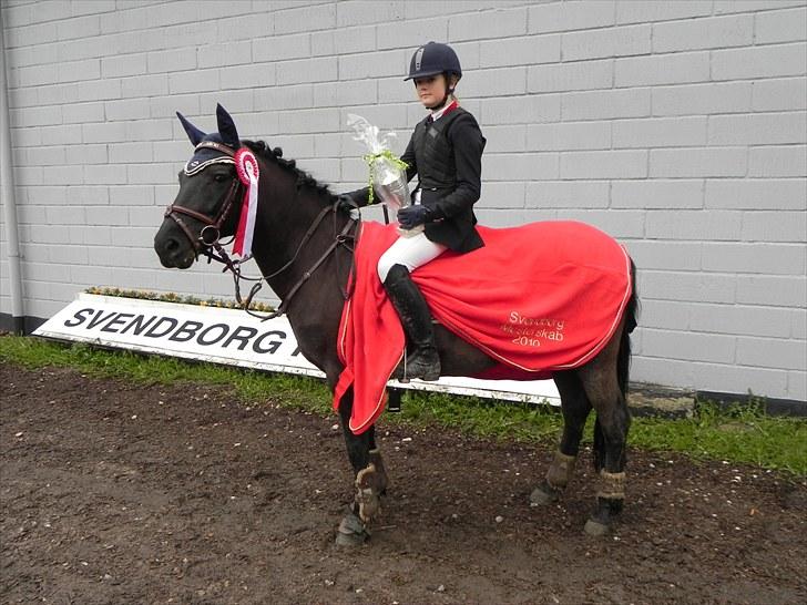 Anden særlig race Black Kikki - Svendborg Mester 2010 billede 3