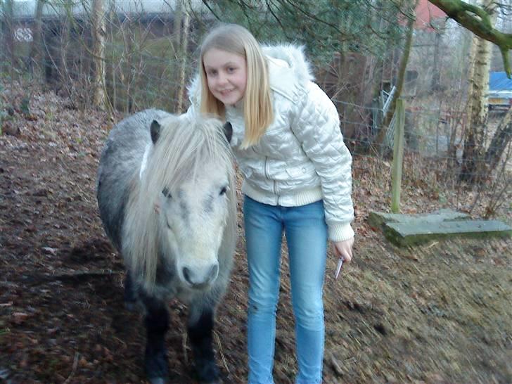 Shetlænder Ablace - Mig og Ablace xD Foto: Mia ,D billede 7