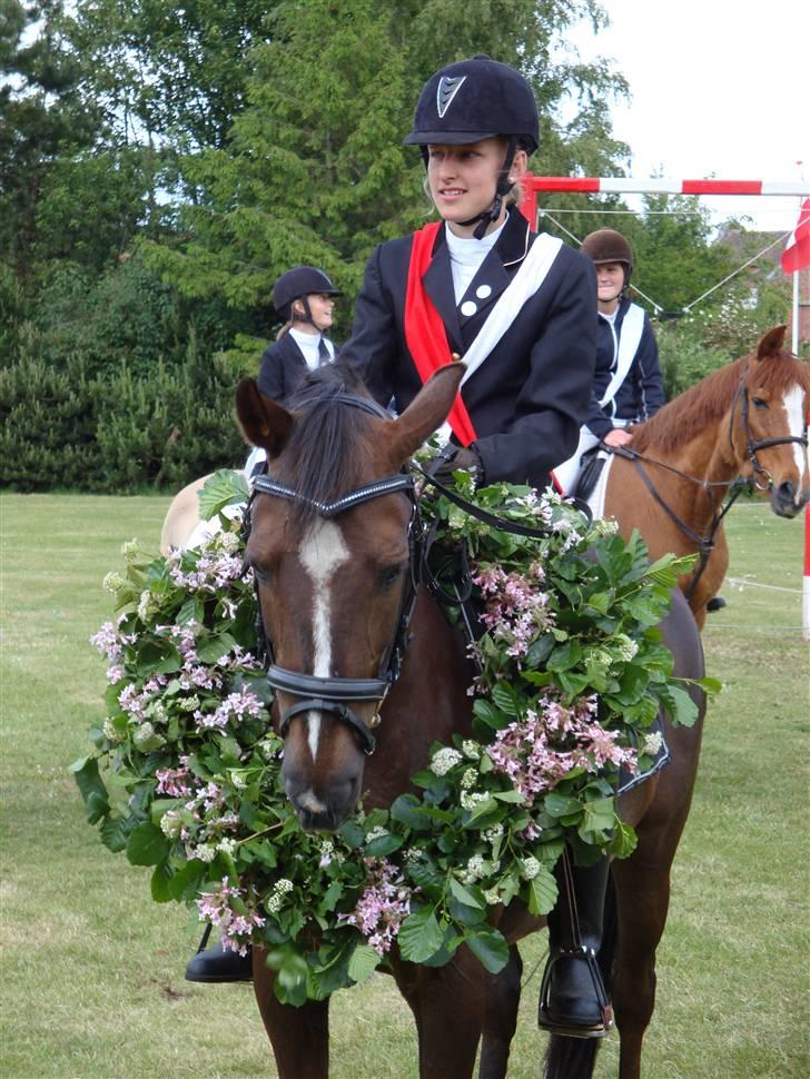 Anden særlig race lady - mig xlady billede 3