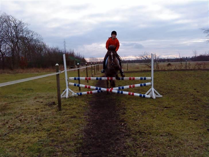 Anden særlig race lady billede 4