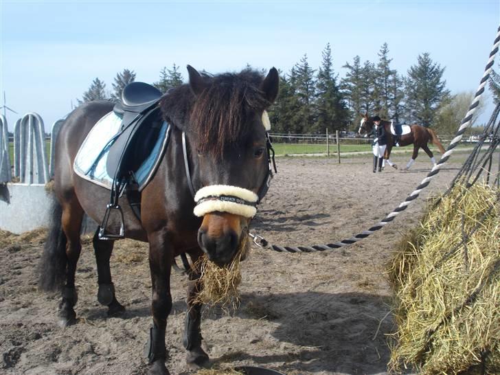 Anden særlig race mulan<3 - HALLO det er mig!! billede 12