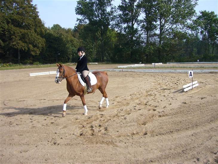 {{currentPhoto.altText}} billede {{currentPhoto.number}}