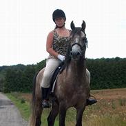 Sportsaraber (A) Charleston