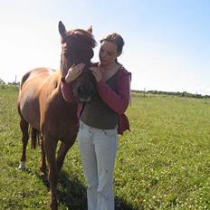 Anden særlig race Sebastian