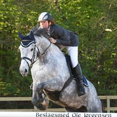 Holstener Coronadi II M