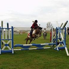 Anden særlig race Schuppy Doo *solgt*