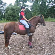 Anden særlig race Nansi R.I.P