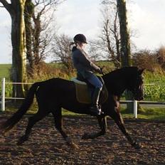 Anden særlig race Stella <'3 * solgt * 