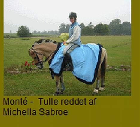 Fjordhest Tulle - Her har vi lige vundet klubmesterskabet i Monte´2005 billede 8