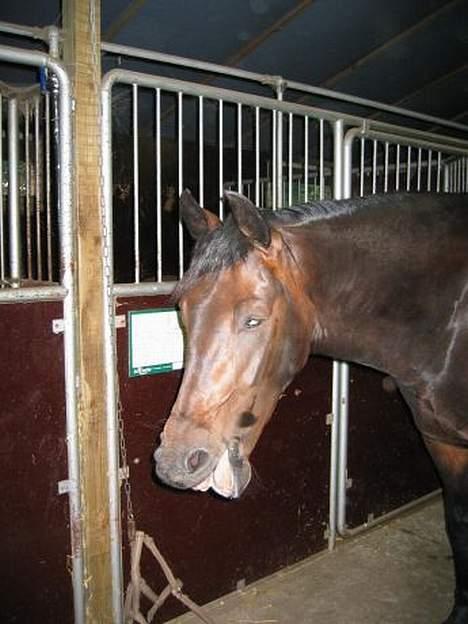 Anden særlig race Asa vav kit - Gabb,, ;b billede 2