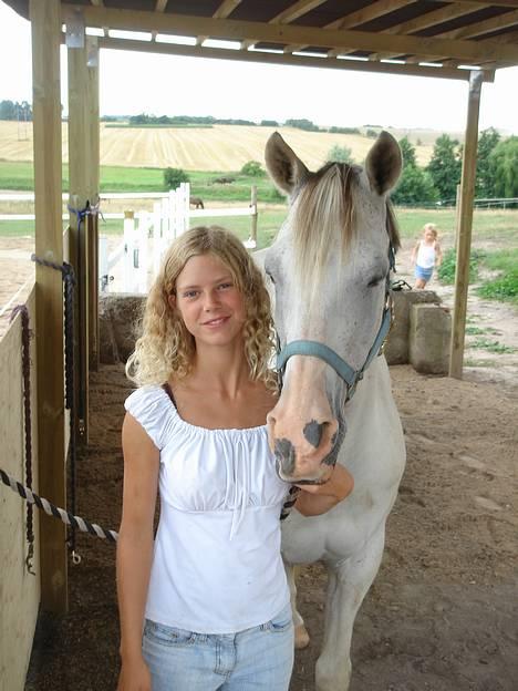 Arabisk fuldblod (OX) Aliman OX R.I.P. - Derhjemme, sommeren 2006 billede 8