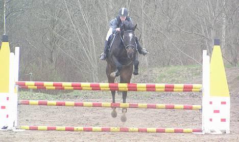 Holstener Grease Lightning billede 1