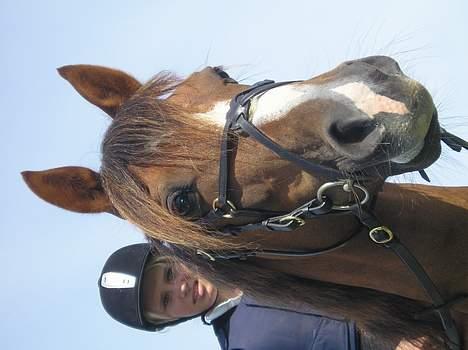Anden særlig race Samson Solgt - mig og samson, det er søn det vender forkert. hi hi billede 7