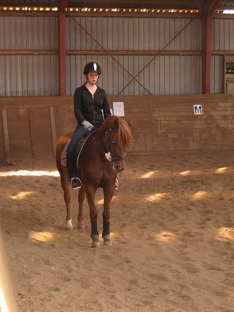 Anden særlig race Sebastian - September 2006. ooggg paraaade billede 5