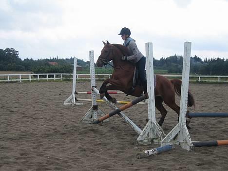 Anden særlig race Sebastian - September 2006. hahahahah han satte lige lidt mærkeligt af billede 6