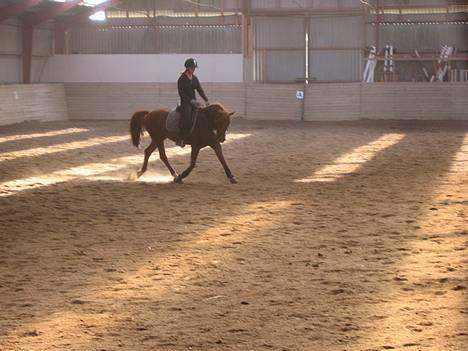 Anden særlig race Sebastian - September 2006. flotti hotti billede 7