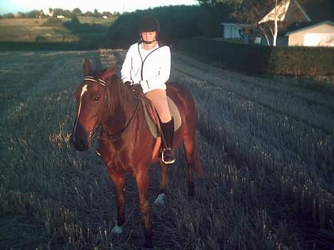 Traver SikSak (Død 2011) billede 6