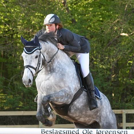 Holstener Coronadi II M - Suså 2007 billede 1