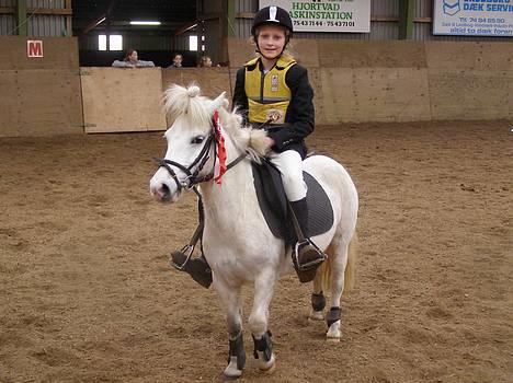 Shetlænder Miss Musse - mig og mini musen, som lige har vundet LC! billede 13