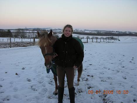 New Forest Simone (solgt) billede 14