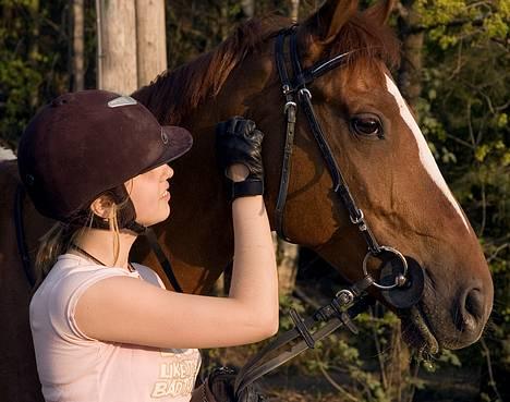 Svensk Varmblod bambino - meg og min hest.. billede 9