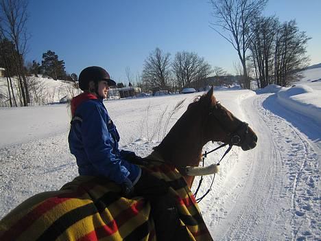 Svensk Varmblod bambino - på tur^^ i vinter 2005/2006 billede 11