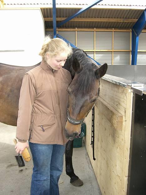 Dansk Varmblod Columbine AFLIVET - 7. maj 2007 - Lige kommet hjem fra London  billede 2