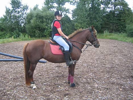 Anden særlig race Nansi R.I.P - Hva søren .. Hun havde sgu tid til og få taget billede .. :) billede 1