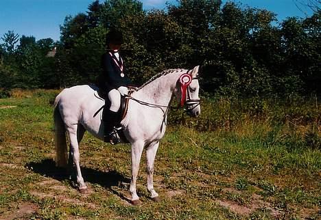 Welsh Pony (sec B) *Laithe Hill Gala* R.I.P. - Gala og jeg efter vi havde vundet en LC2. billede 3