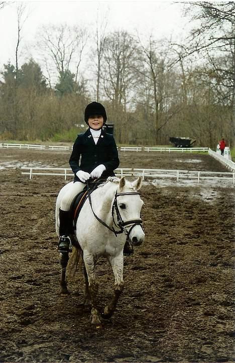 Welsh Pony (sec B) *Laithe Hill Gala* R.I.P. - Gala og mig i Parken. I kan se banen vi red på bag ved. Det var en sump! billede 7