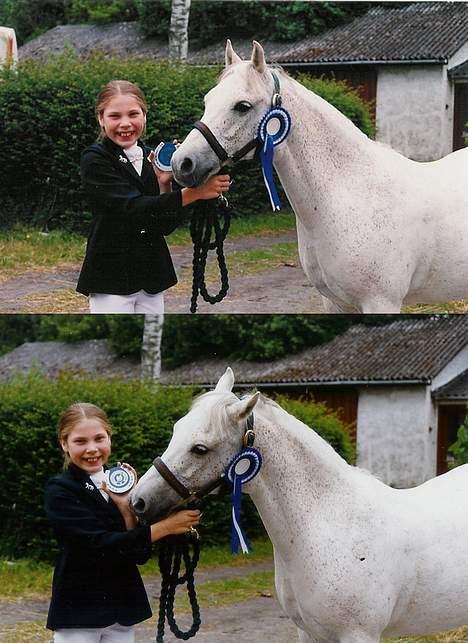 Welsh Pony (sec B) *Laithe Hill Gala* R.I.P. - Efter vi var blevet nummer 2 i en LC2. billede 12