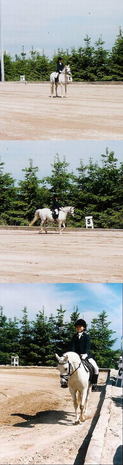 Welsh Pony (sec B) *Laithe Hill Gala* R.I.P. - Den lille wow pony. Gala og mig i M. billede 14