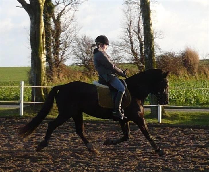 Anden særlig race Stella <'3 * solgt *  - Fritav. 30.oktober ´07 billede 3