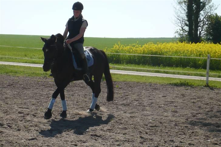 Anden særlig race Stella <'3 * solgt *  - Stella og jeg d. 11. maj 2008 billede 5