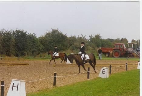 Anden særlig race Stella <'3 * solgt *  - Vores første stævne.. billede 6