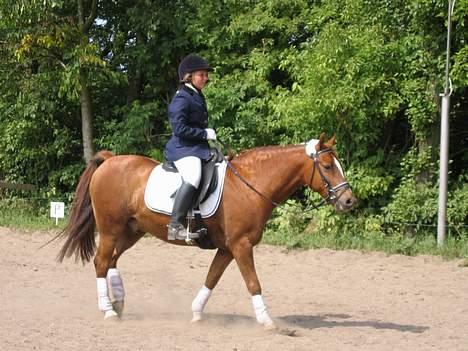 Anden særlig race TRISTHAN - Rikke og Tristhan billede 11