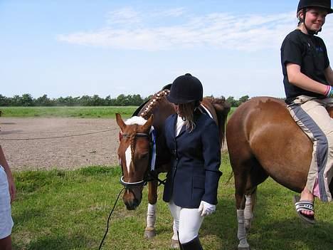Anden særlig race TRISTHAN - Rikke og Tristhan billede 12