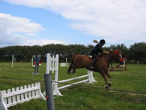 Anden særlig race TRISTHAN - Rikke og Tristhan billede 15