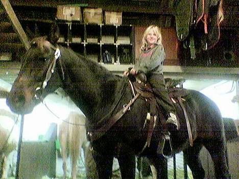 Traver Peppe Skovsgård (Død)  - Tanja havde fået ny dress til sin hest, men Peppe skulle lige være prøveklud, og Elina skulle lige prøve at sedde i en westernsadel billede 7