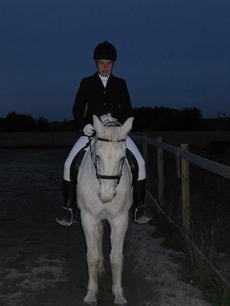 Sportsaraber (A) Zik Zak - En pæn parade... :D      (24/10-05) billede 7