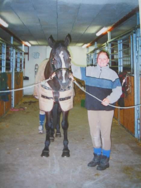 Dansk Varmblod Montana Engholm - Tana lige inden vi tager til stævne *ss* billede 2