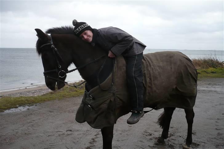 Anden særlig race Stella <'3 * solgt *  - Sidste tur på Stella. <3 billede 13