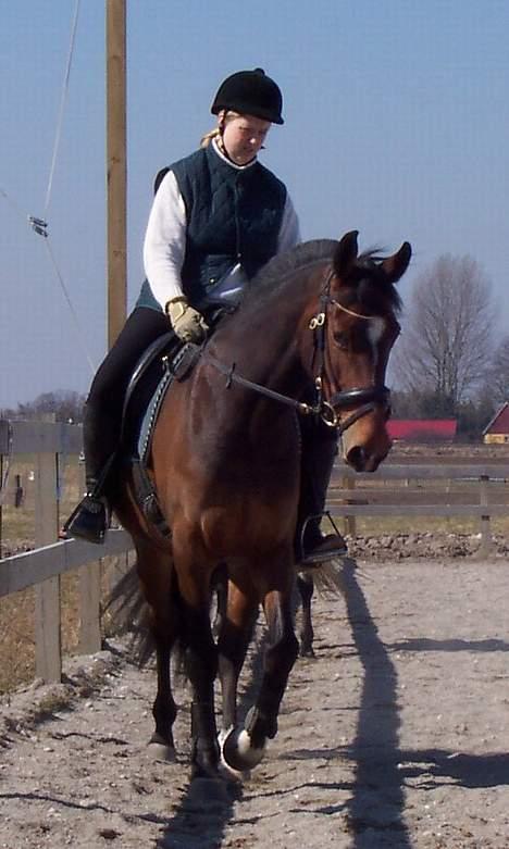 Anden særlig race Luna - 2-4-05 billede 19