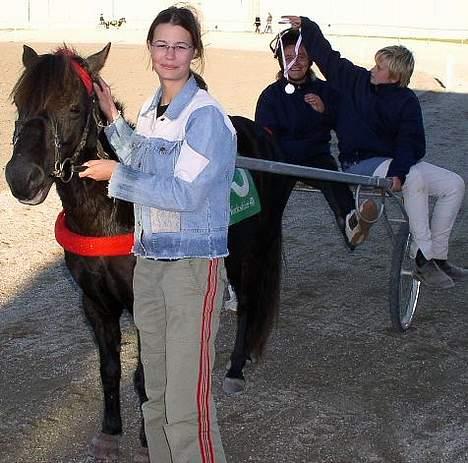 Gotlandsruss Maja (DØD) - Gitte med en andenplads i panden, frederik og mig der holder hesten billede 11