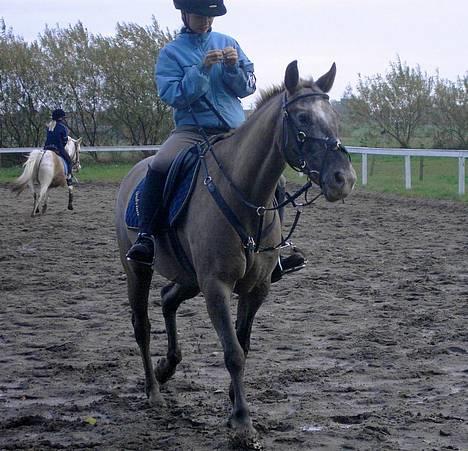 Knabstrupper Desna solgt )':  - min negl flækkede :/ billede 12